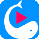 分享网VIP视频在线解析